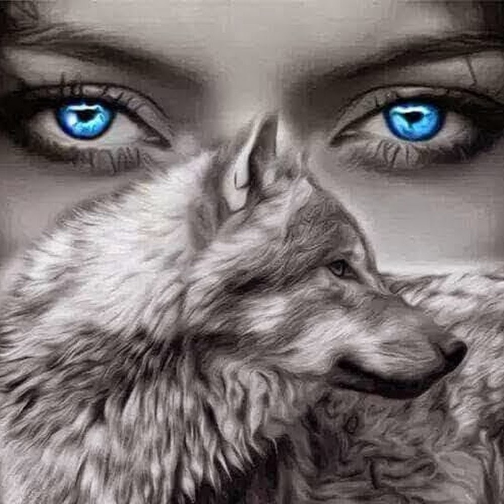 Meet your Posher, Anne